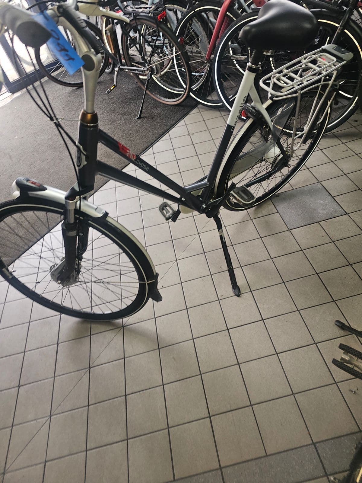 Gazelle Elipcise